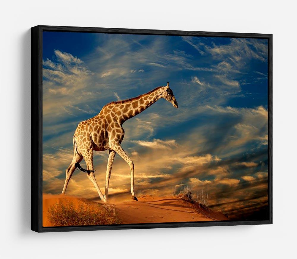 Giraffe walking on a sand dune with clouds South Africa HD Metal Print - Canvas Art Rocks - 6