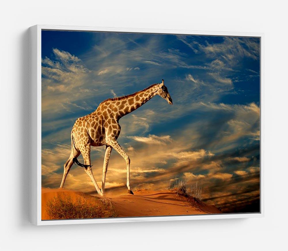 Giraffe walking on a sand dune with clouds South Africa HD Metal Print - Canvas Art Rocks - 7