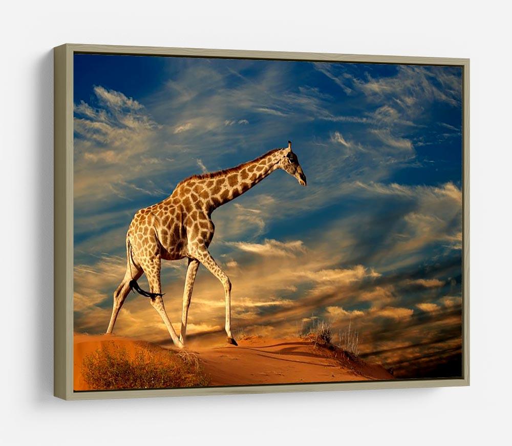 Giraffe walking on a sand dune with clouds South Africa HD Metal Print - Canvas Art Rocks - 8