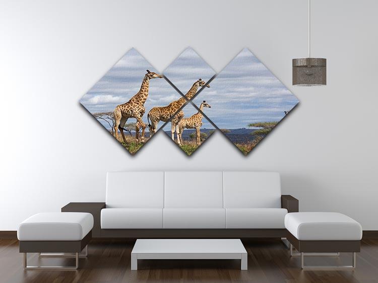 Giraffes in south africa game reserve 4 Square Multi Panel Canvas - Canvas Art Rocks - 3