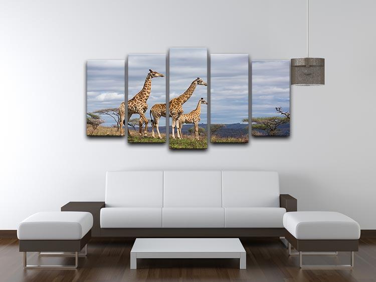 Giraffes in south africa game reserve 5 Split Panel Canvas - Canvas Art Rocks - 3