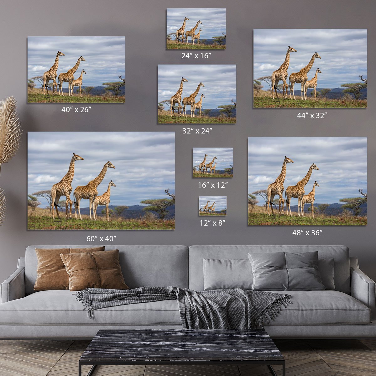 Giraffes in south africa game reserve Canvas Print or Poster