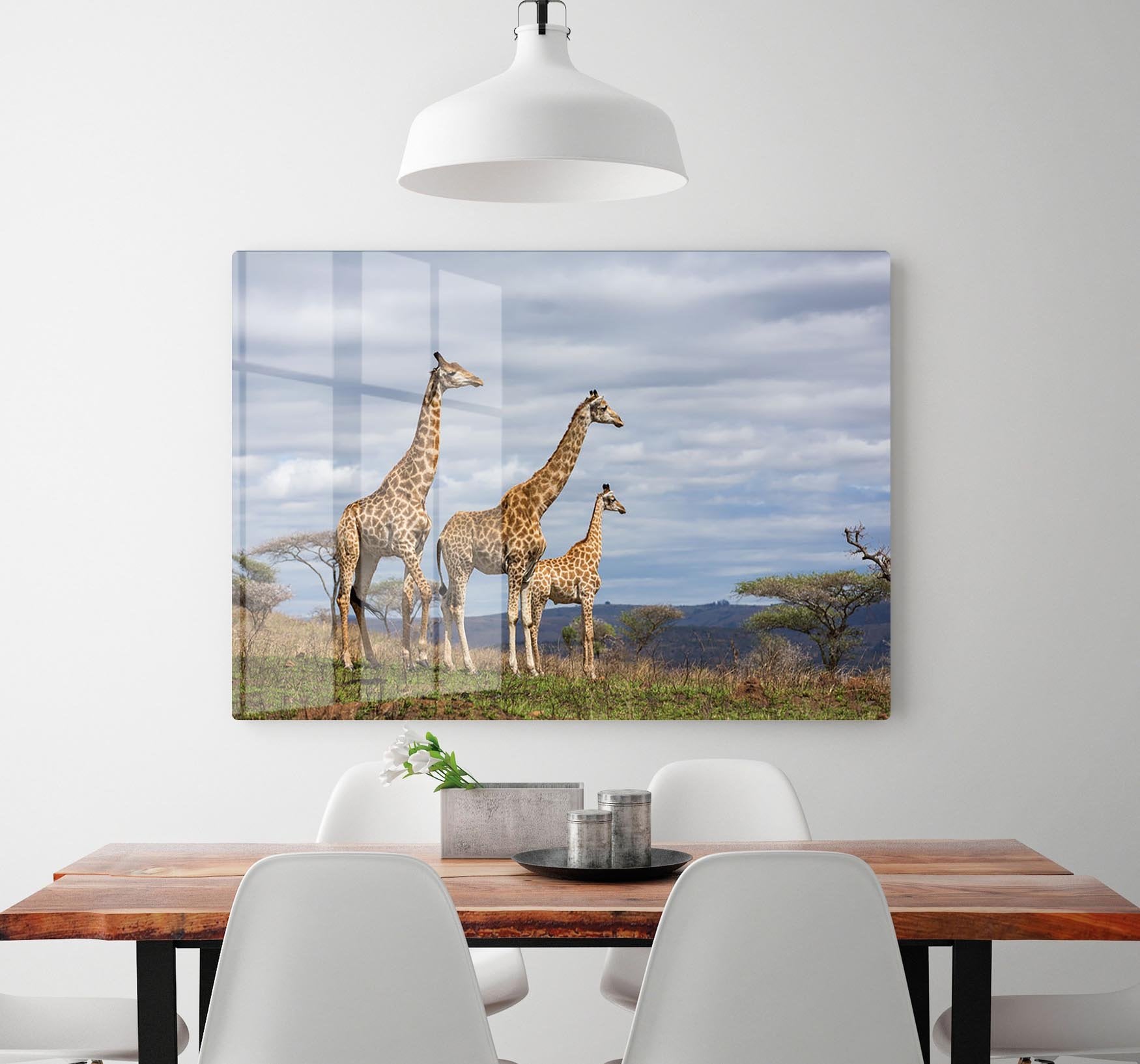 Giraffes in south africa game reserve HD Metal Print - Canvas Art Rocks - 2