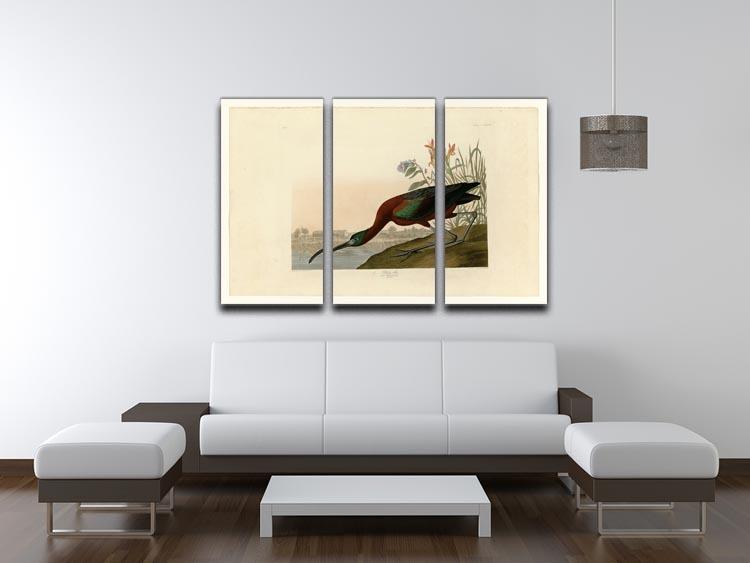 Glossy Ibis by Audubon 3 Split Panel Canvas Print - Canvas Art Rocks - 3