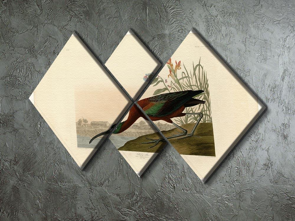 Glossy Ibis by Audubon 4 Square Multi Panel Canvas - Canvas Art Rocks - 2