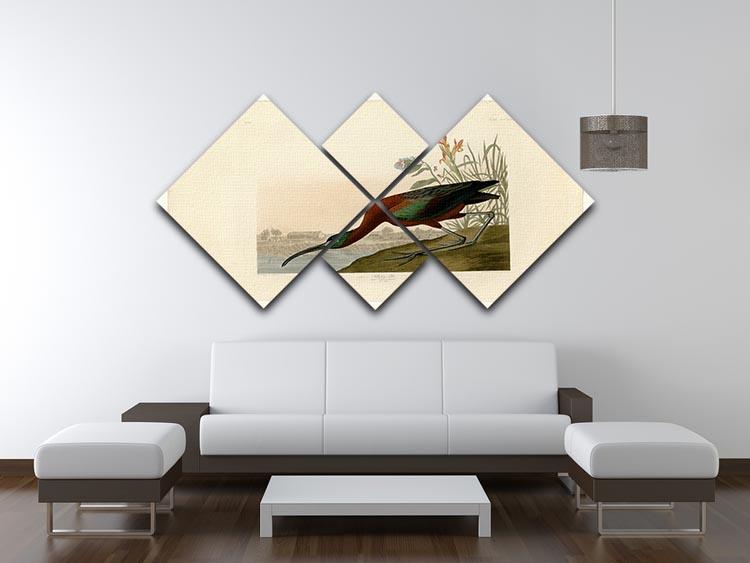Glossy Ibis by Audubon 4 Square Multi Panel Canvas - Canvas Art Rocks - 3