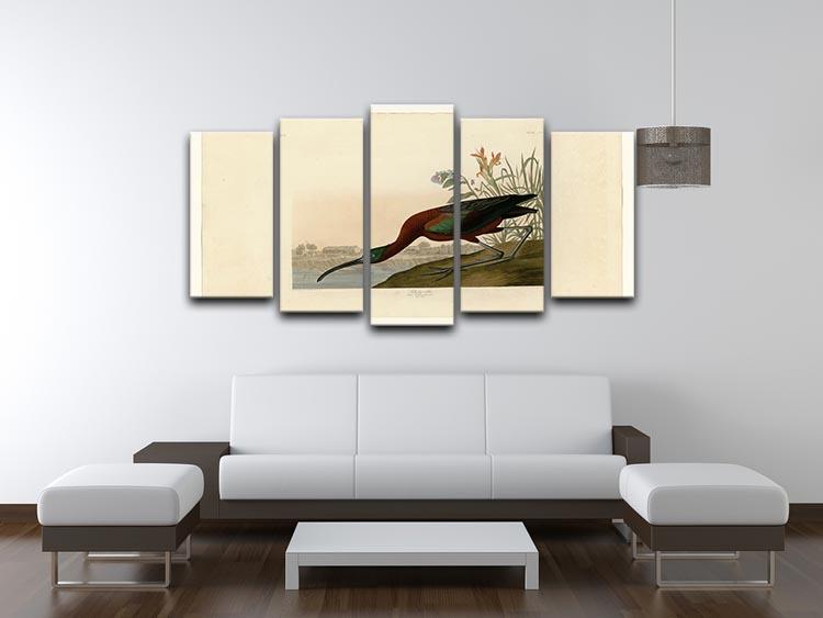 Glossy Ibis by Audubon 5 Split Panel Canvas - Canvas Art Rocks - 3