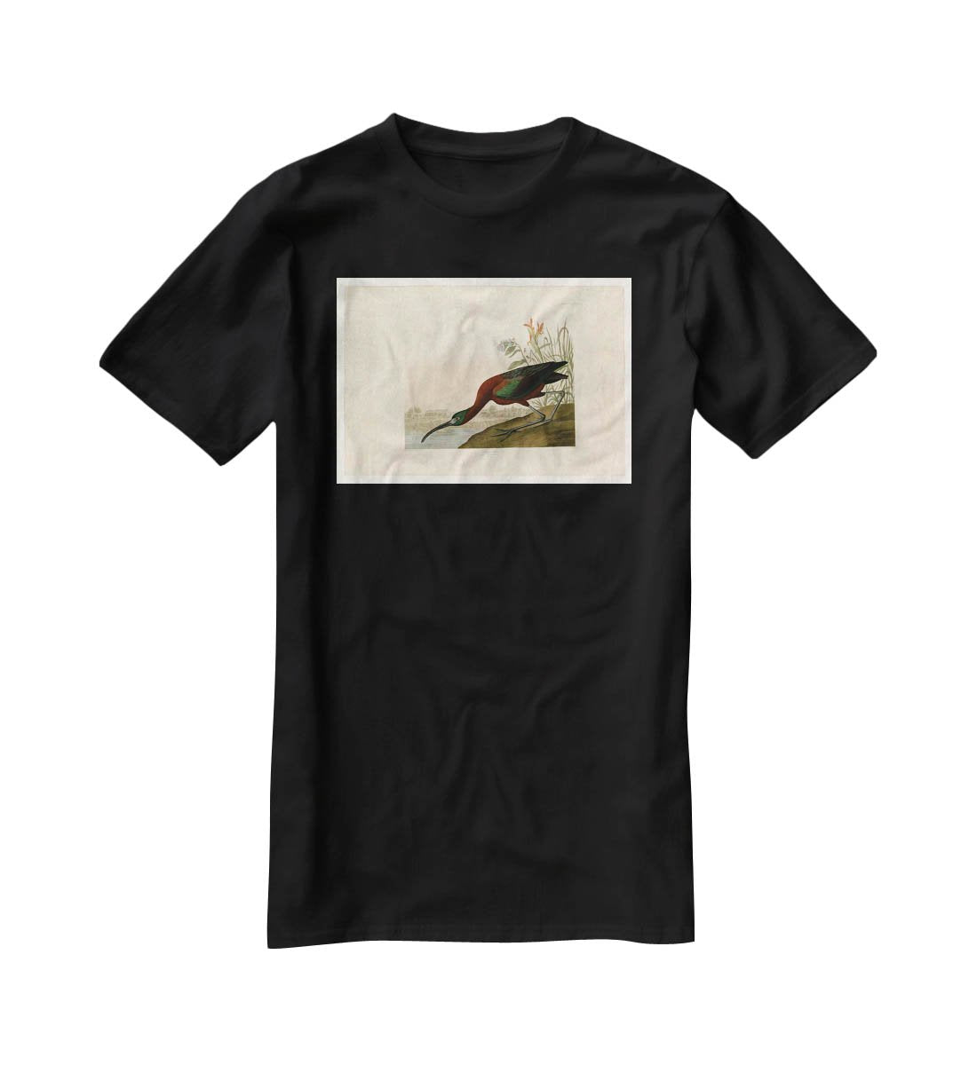 Glossy Ibis by Audubon T-Shirt - Canvas Art Rocks - 1