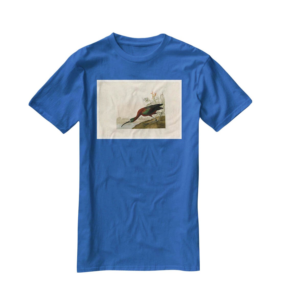 Glossy Ibis by Audubon T-Shirt - Canvas Art Rocks - 2