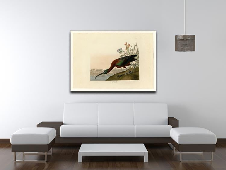 Glossy Ibis by Audubon Canvas Print or Poster - Canvas Art Rocks - 4