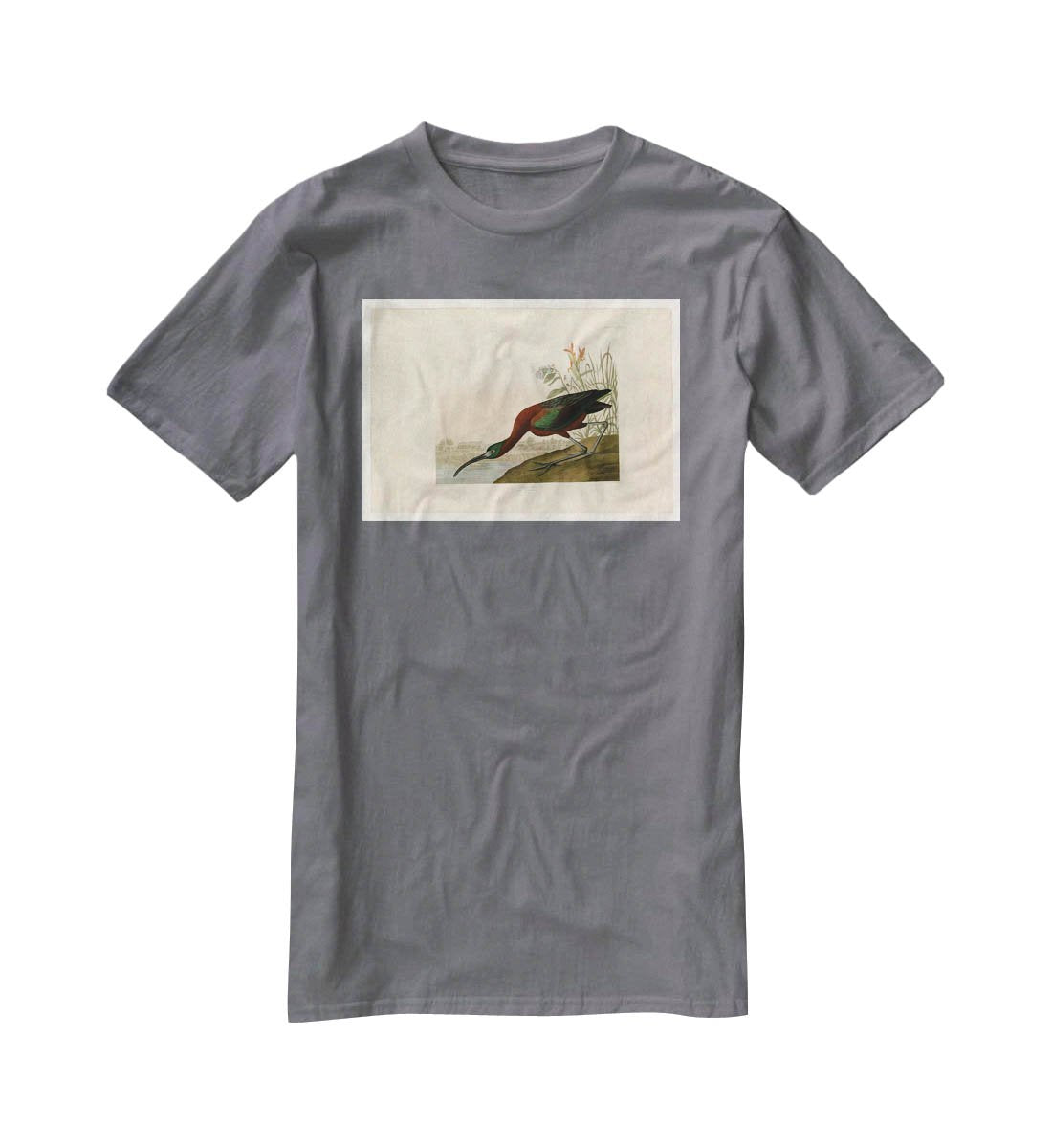 Glossy Ibis by Audubon T-Shirt - Canvas Art Rocks - 3