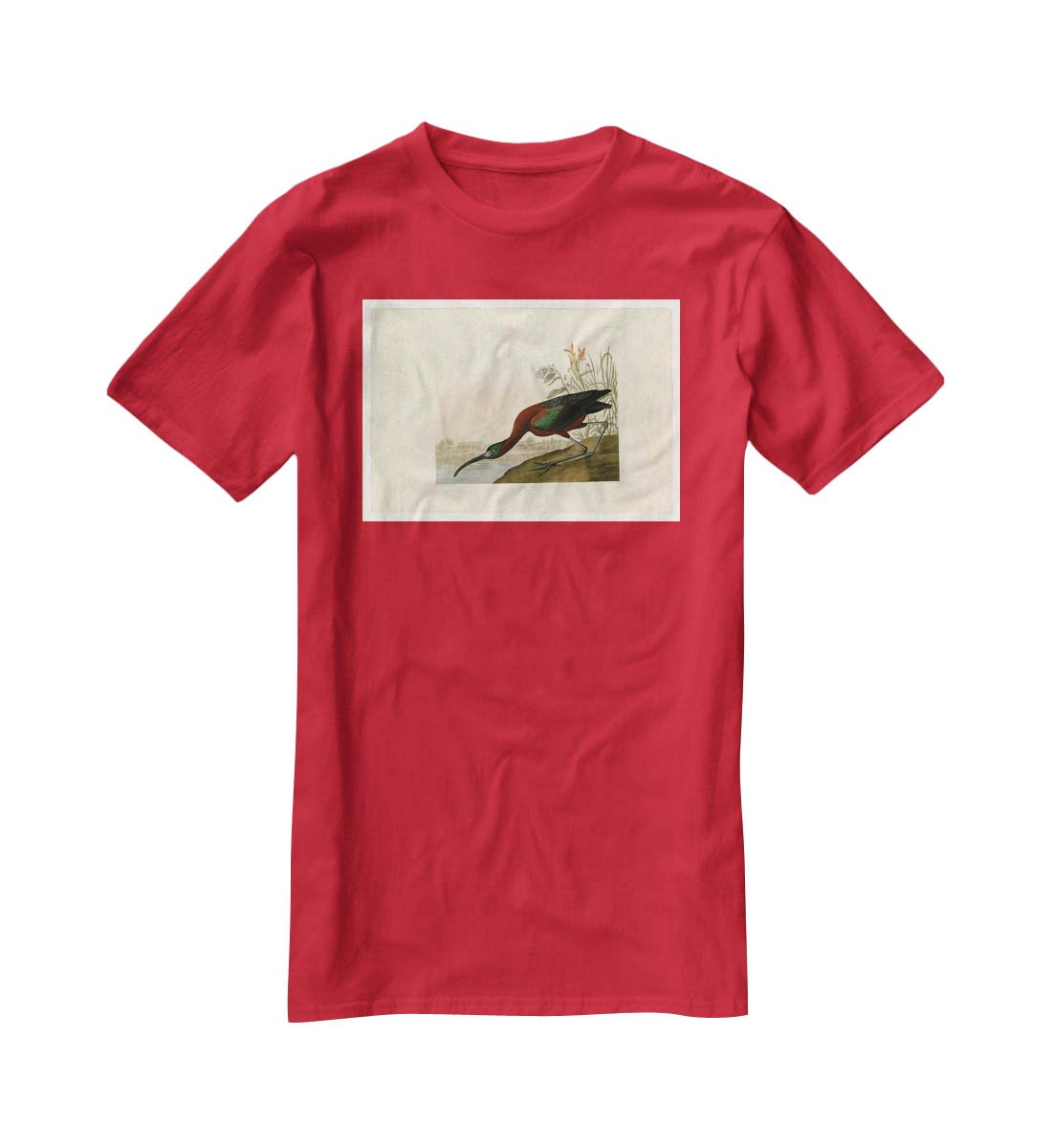 Glossy Ibis by Audubon T-Shirt - Canvas Art Rocks - 4