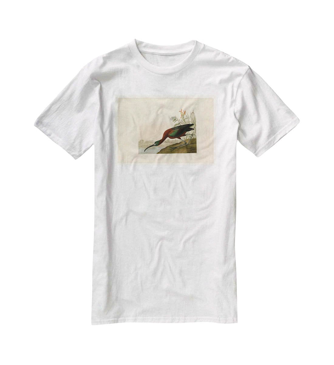 Glossy Ibis by Audubon T-Shirt - Canvas Art Rocks - 5