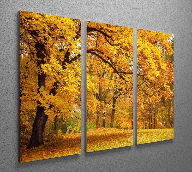 Gold Trees in a park 3 Split Panel Canvas Print - Canvas Art Rocks - 2