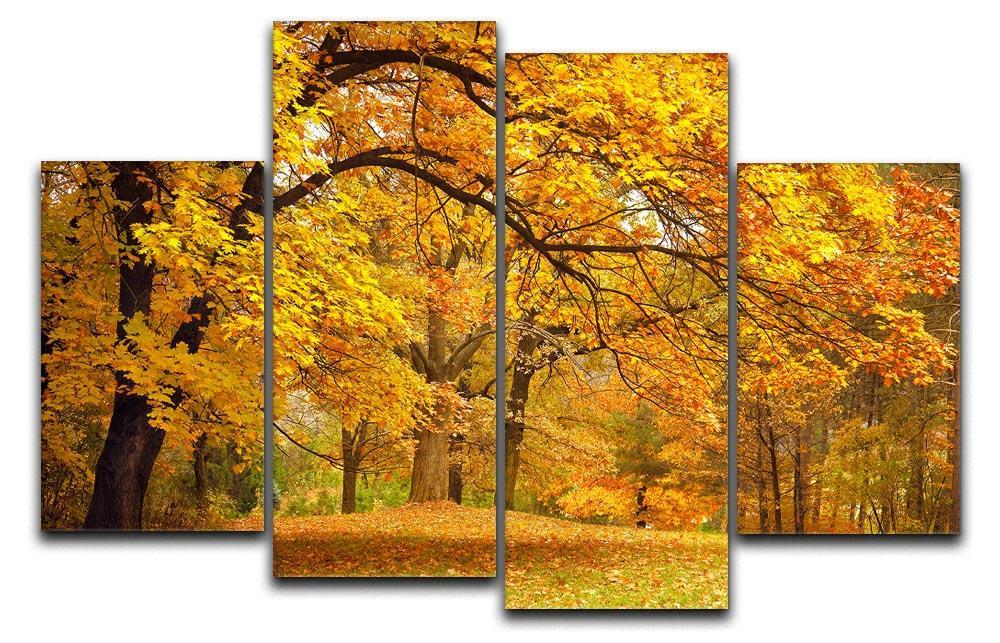 Gold Trees in a park 4 Split Panel Canvas  - Canvas Art Rocks - 1