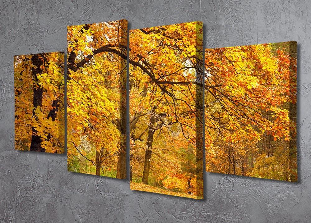 Gold Trees in a park 4 Split Panel Canvas  - Canvas Art Rocks - 2