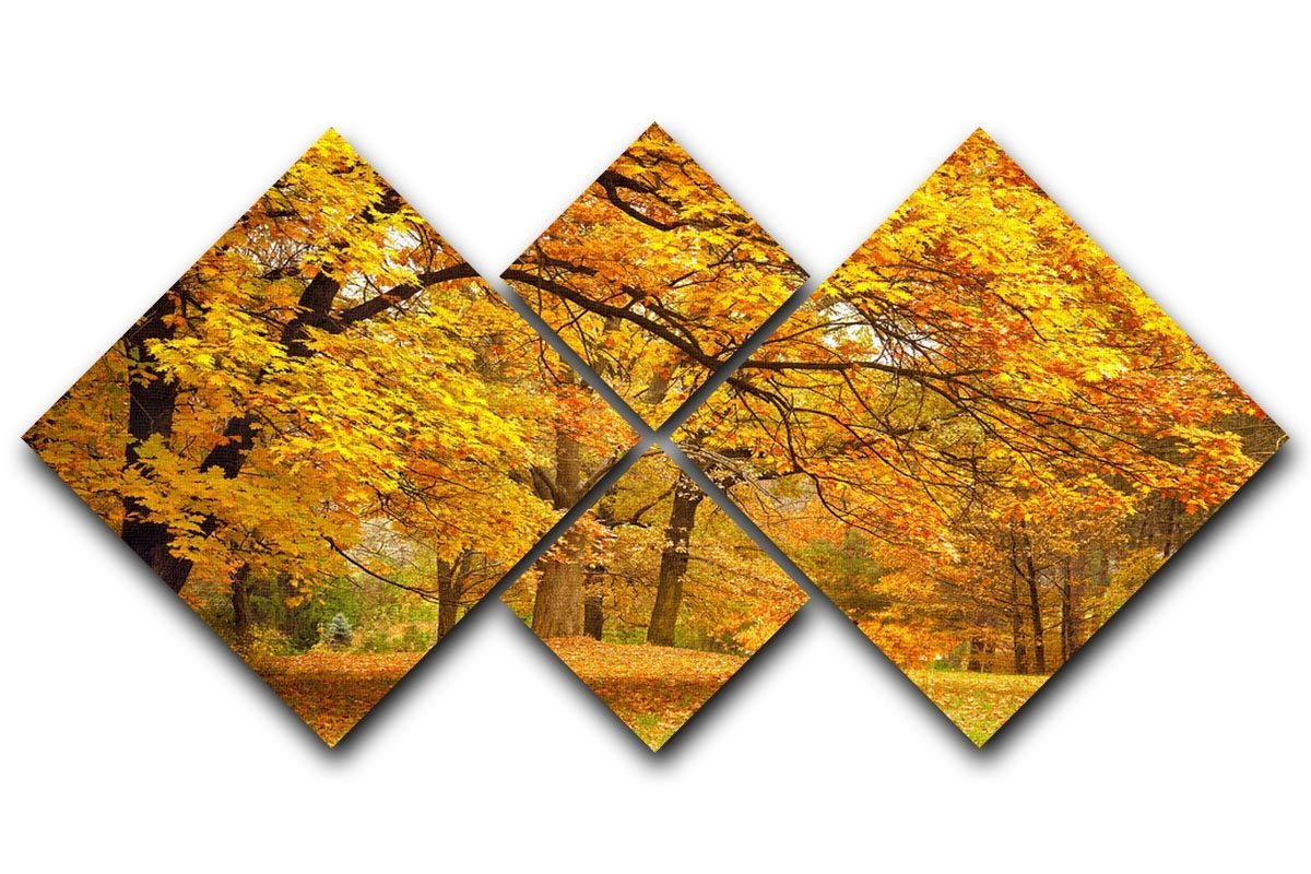 Gold Trees in a park 4 Square Multi Panel Canvas  - Canvas Art Rocks - 1