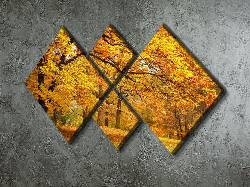 Gold Trees in a park 4 Square Multi Panel Canvas  - Canvas Art Rocks - 2