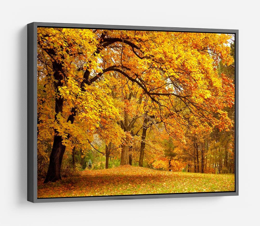 Gold Trees in a park HD Metal Print