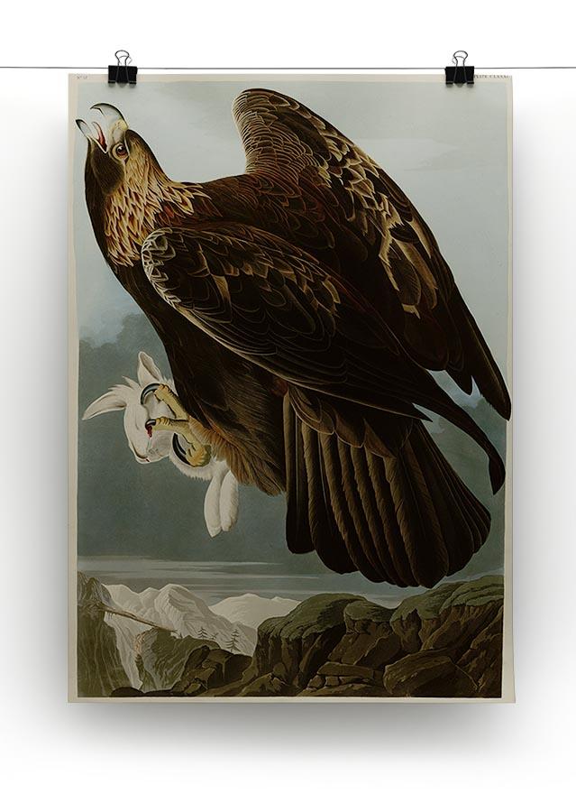 Golden Eagle by Audubon Canvas Print or Poster - Canvas Art Rocks - 2