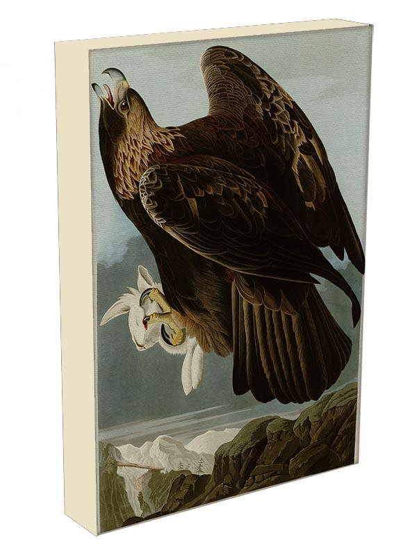 Golden Eagle by Audubon Canvas Print or Poster - Canvas Art Rocks - 3