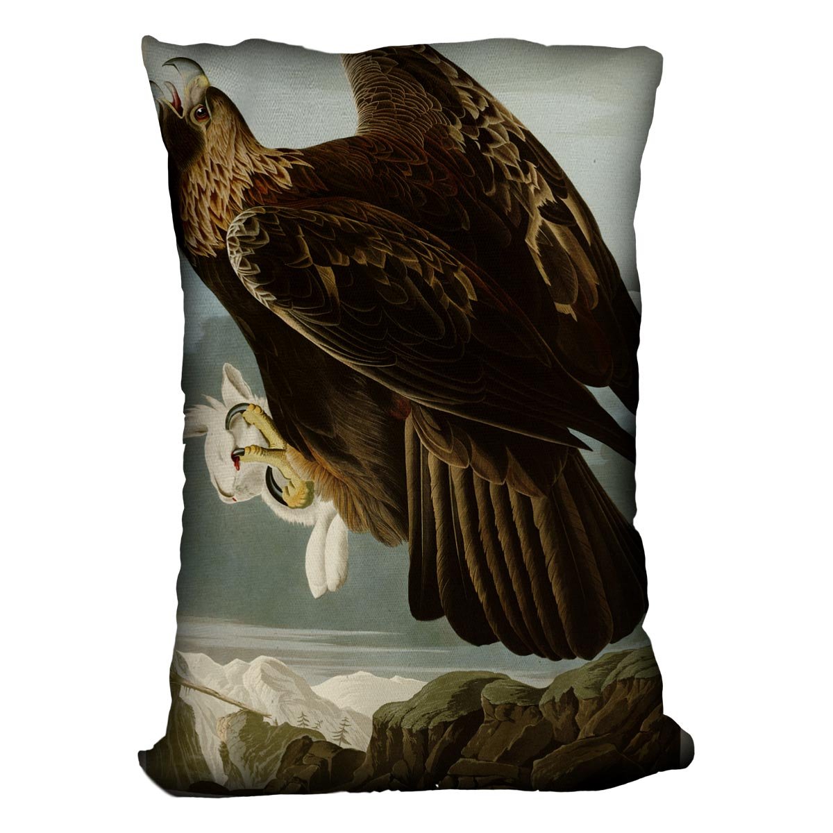 Golden Eagle by Audubon Cushion