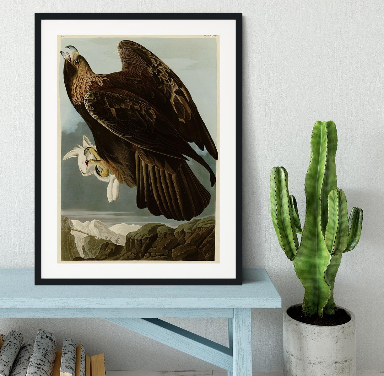 Golden Eagle by Audubon Framed Print - Canvas Art Rocks - 1