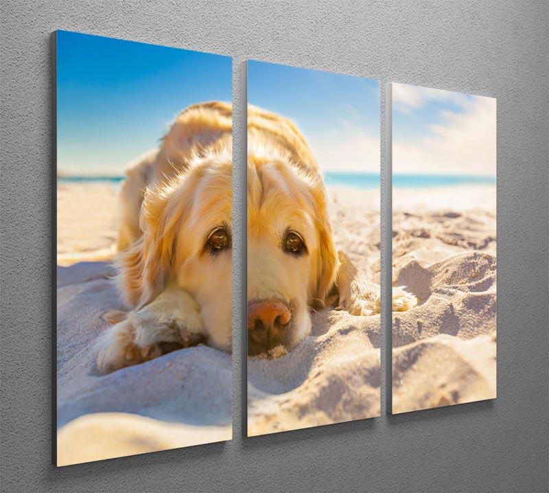 Golden retriever dog relaxing resting 3 Split Panel Canvas Print - Canvas Art Rocks - 2