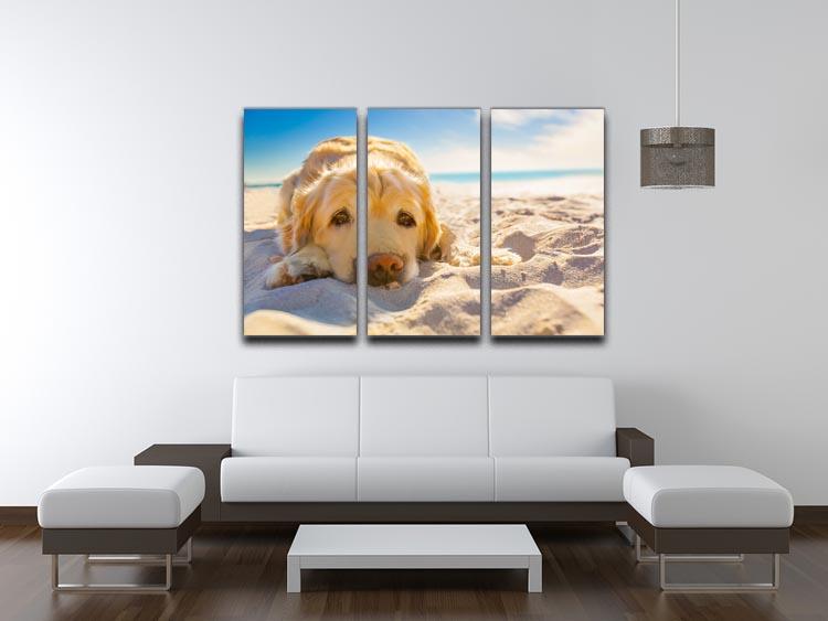 Golden retriever dog relaxing resting 3 Split Panel Canvas Print - Canvas Art Rocks - 3