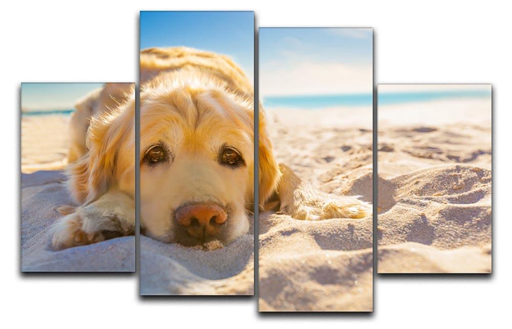 Golden retriever dog relaxing resting 4 Split Panel Canvas - Canvas Art Rocks - 1