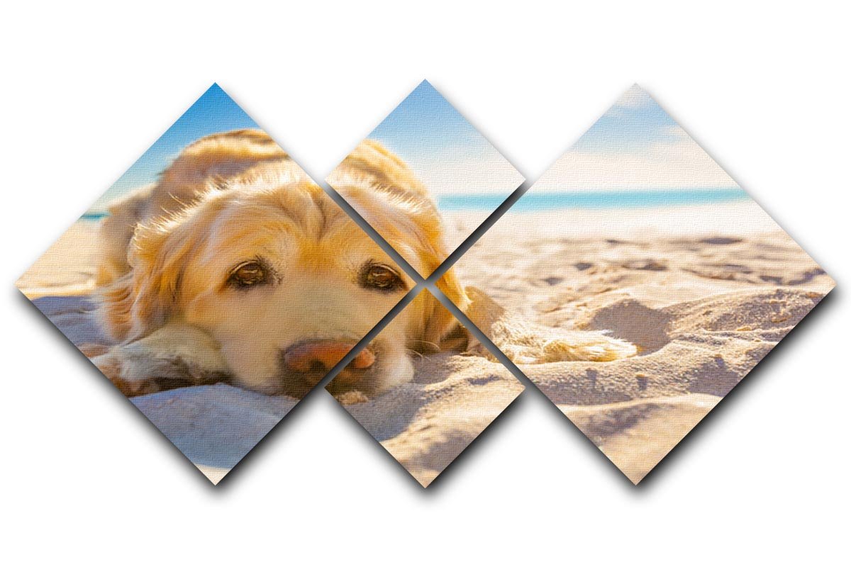 Golden retriever dog relaxing resting 4 Square Multi Panel Canvas - Canvas Art Rocks - 1