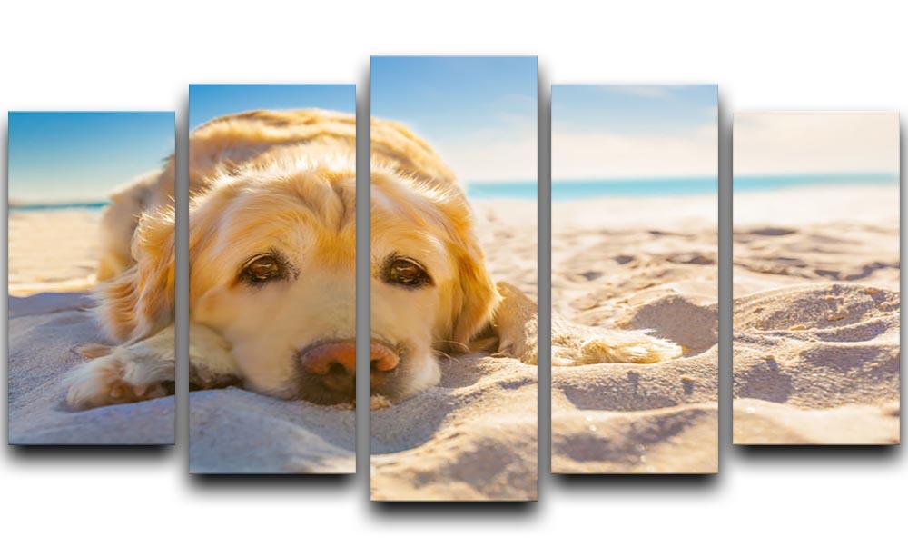 Golden retriever dog relaxing resting 5 Split Panel Canvas - Canvas Art Rocks - 1
