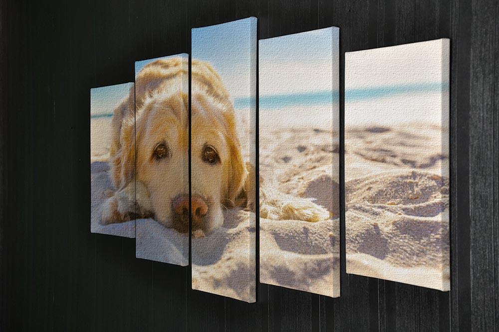 Golden retriever dog relaxing resting 5 Split Panel Canvas - Canvas Art Rocks - 2