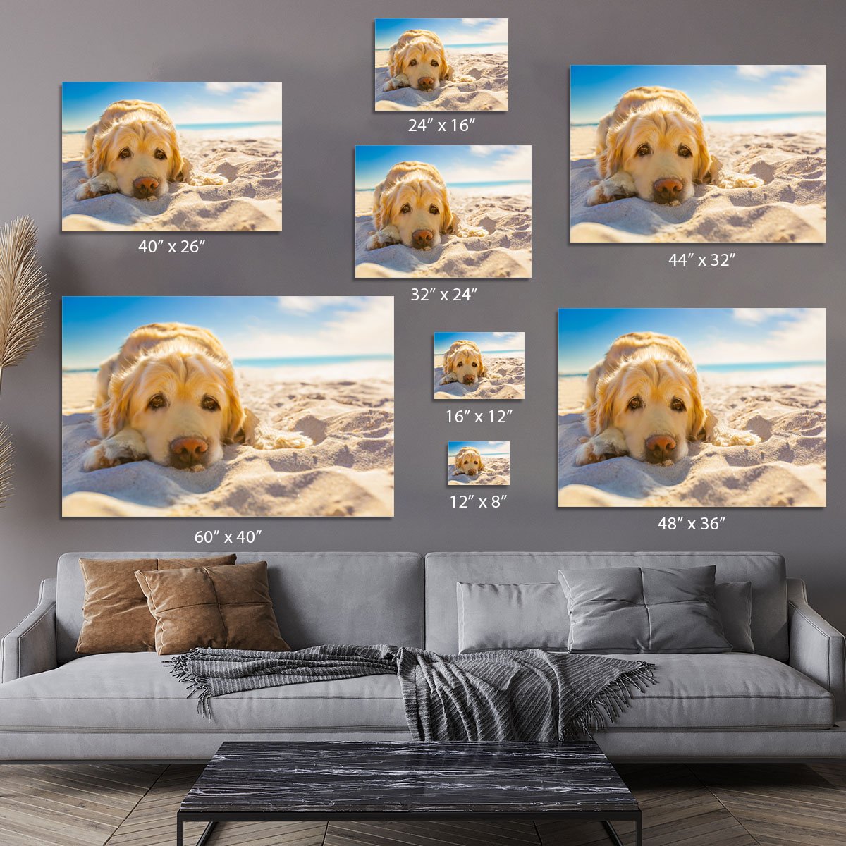 Golden retriever dog relaxing resting Canvas Print or Poster