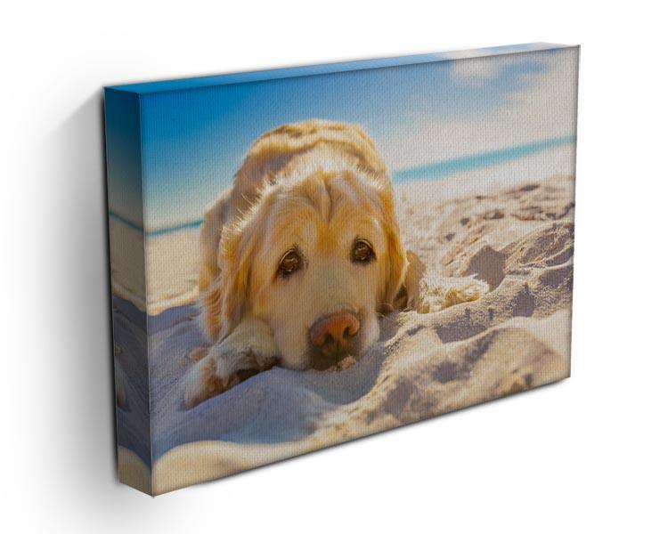 Golden retriever dog relaxing resting Canvas Print or Poster - Canvas Art Rocks - 3