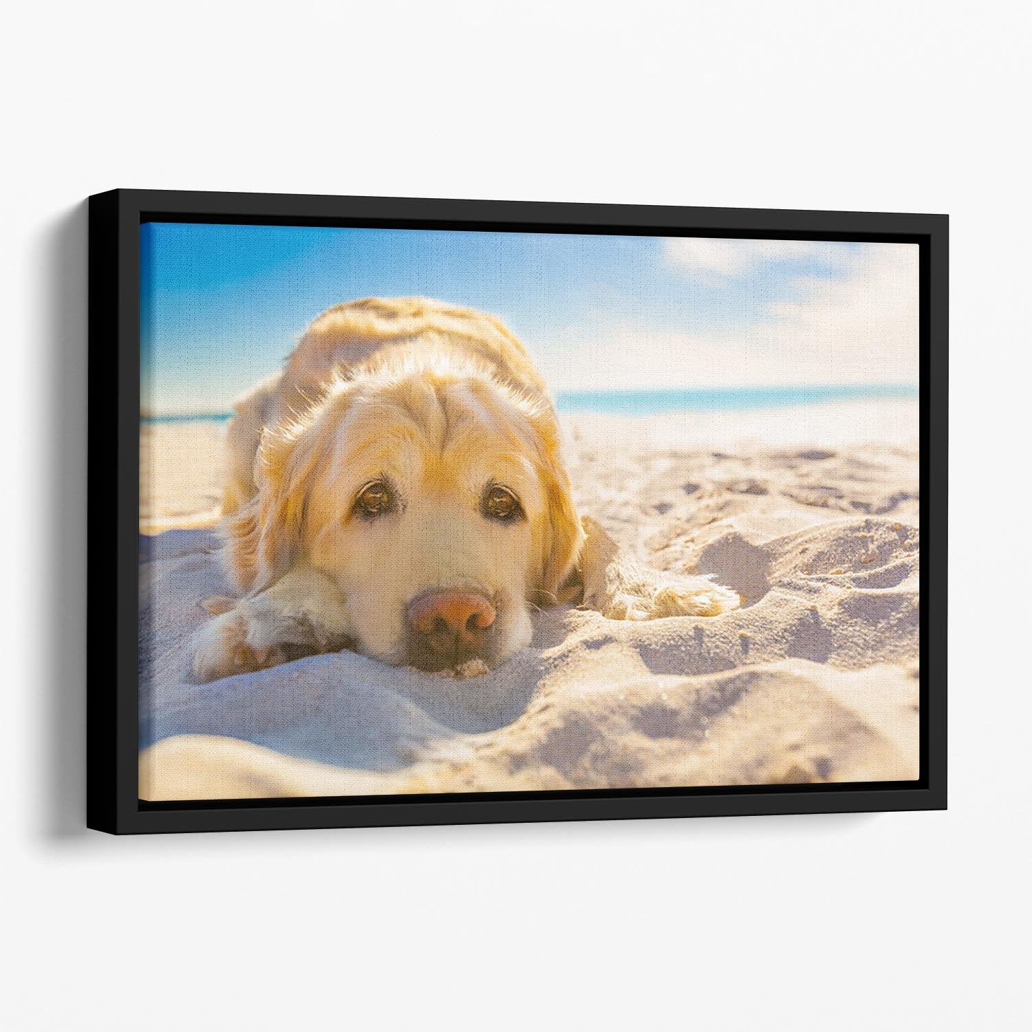 Golden retriever dog relaxing resting Floating Framed Canvas - Canvas Art Rocks - 1