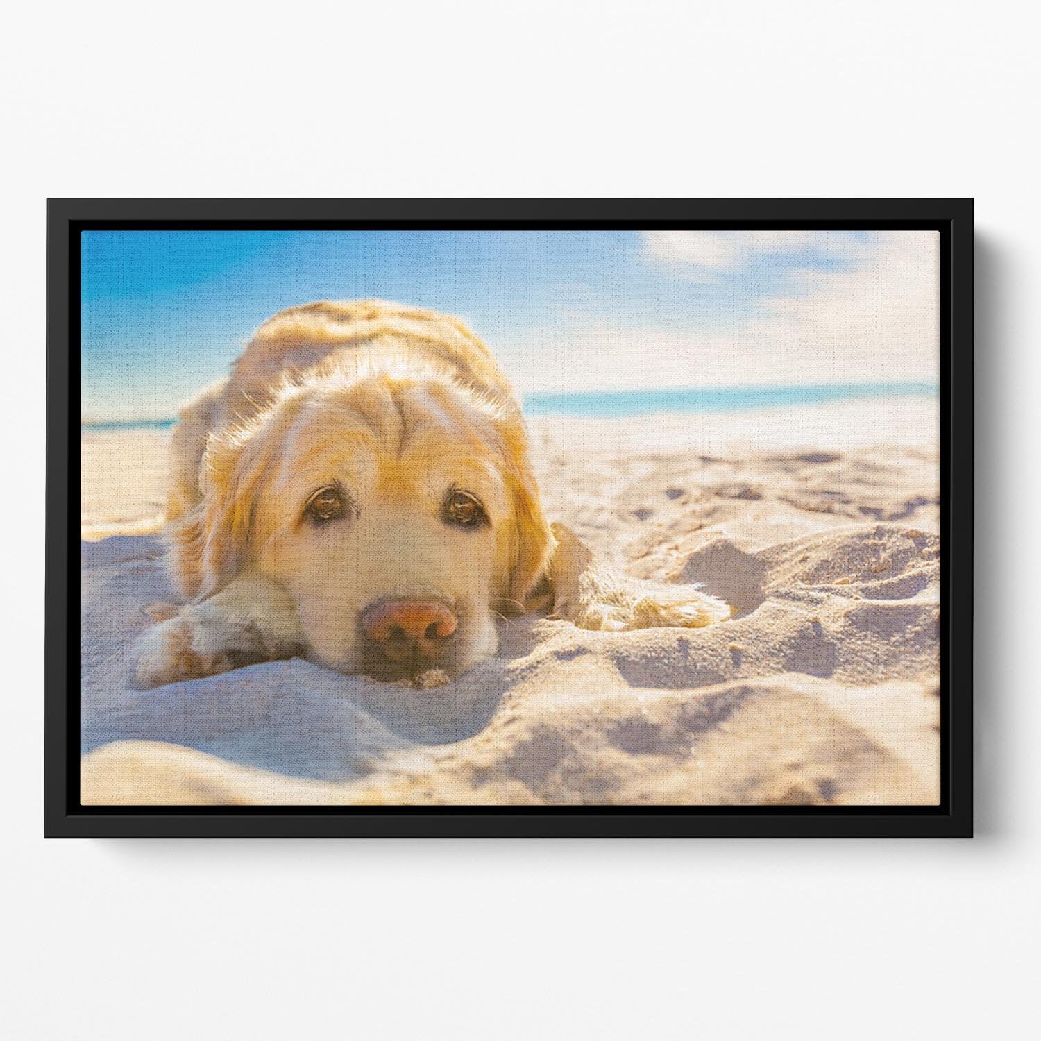 Golden retriever dog relaxing resting Floating Framed Canvas - Canvas Art Rocks - 2