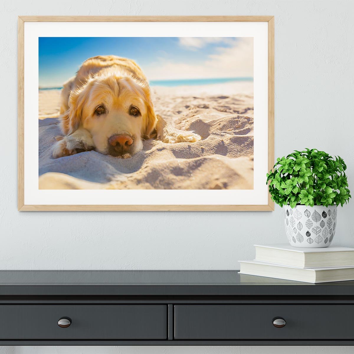 Golden retriever dog relaxing resting Framed Print - Canvas Art Rocks - 3