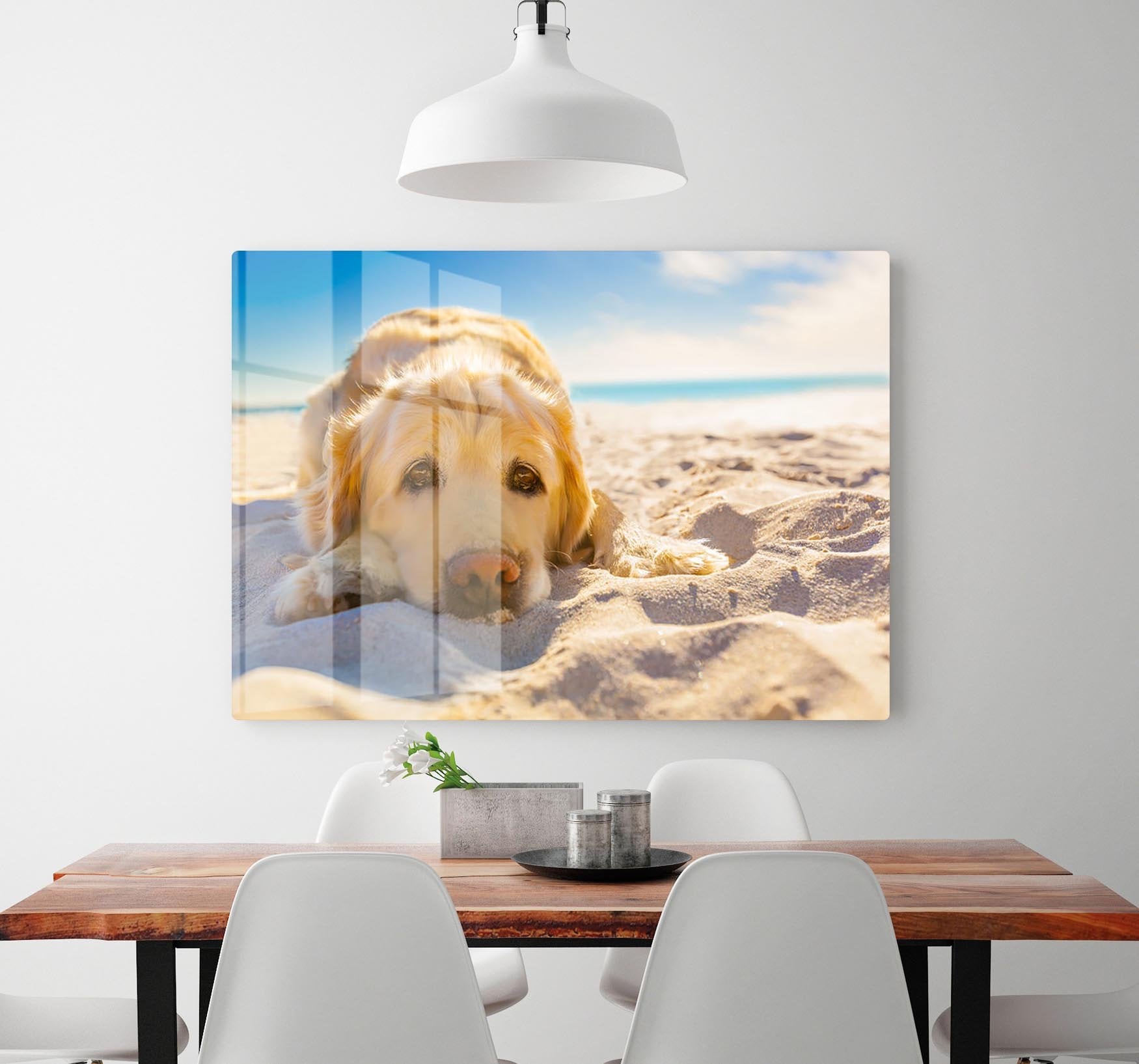 Golden retriever dog relaxing resting HD Metal Print - Canvas Art Rocks - 2