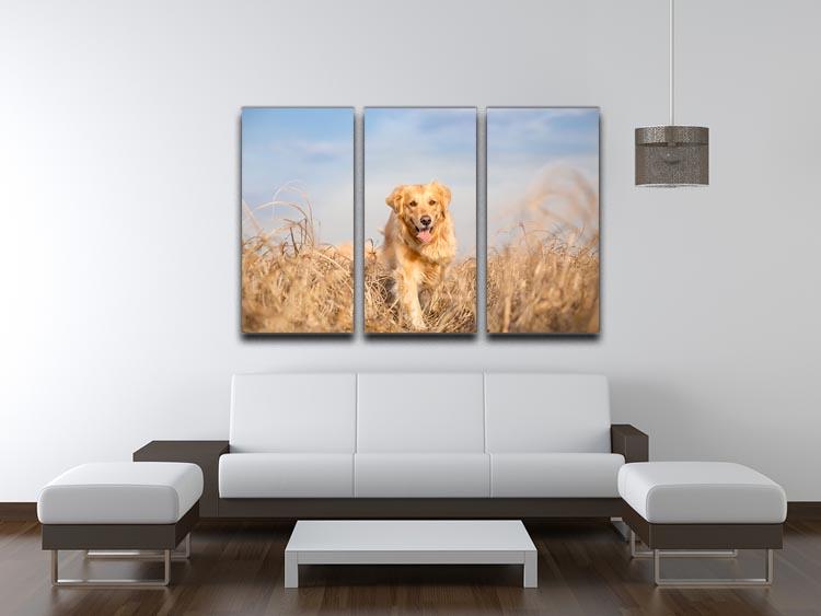 Golden retriever dog running 3 Split Panel Canvas Print - Canvas Art Rocks - 3