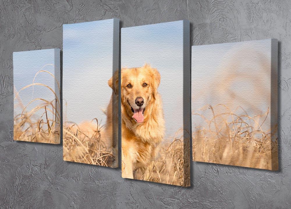 Golden retriever dog running 4 Split Panel Canvas - Canvas Art Rocks - 2