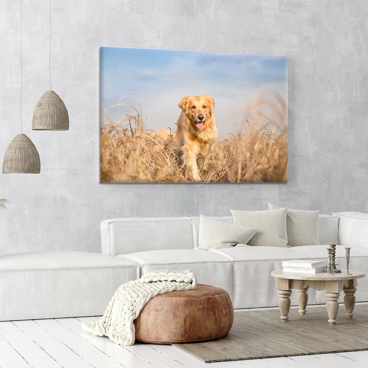 Golden retriever dog running Canvas Print or Poster