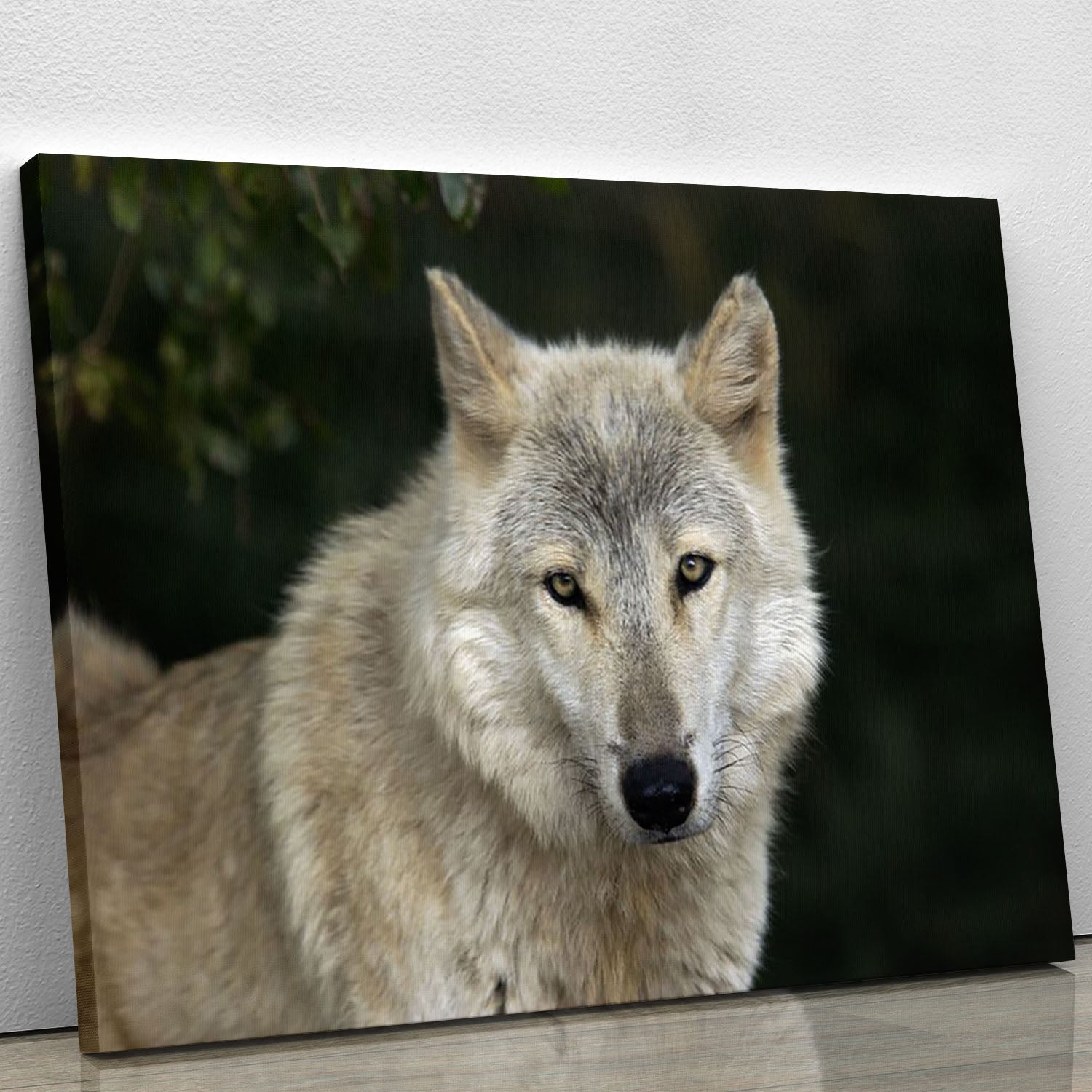 Gray Wolf Portrait in Natural Habitat Canvas Print or Poster - Canvas Art Rocks - 1