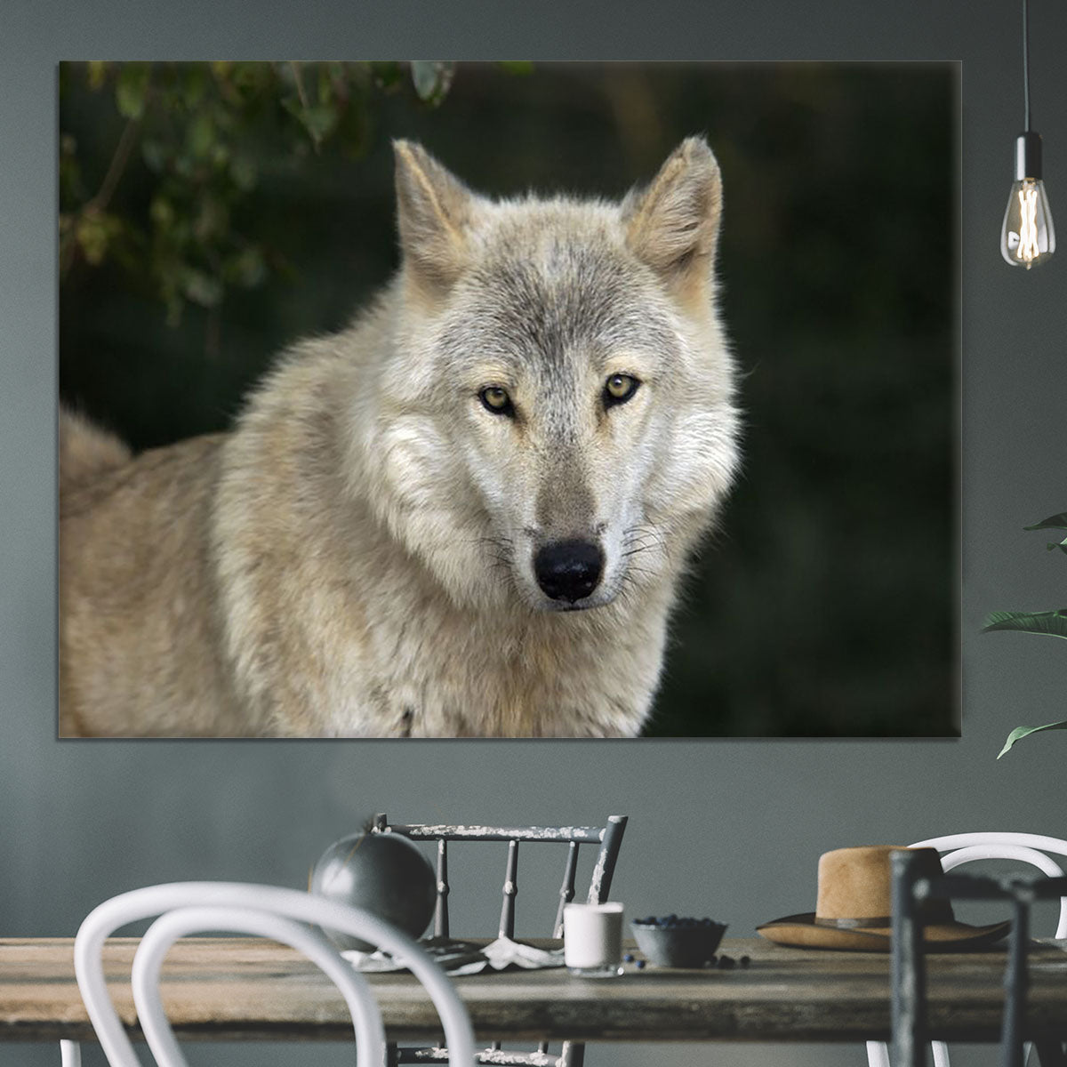 Gray Wolf Portrait in Natural Habitat Canvas Print or Poster - Canvas Art Rocks - 3