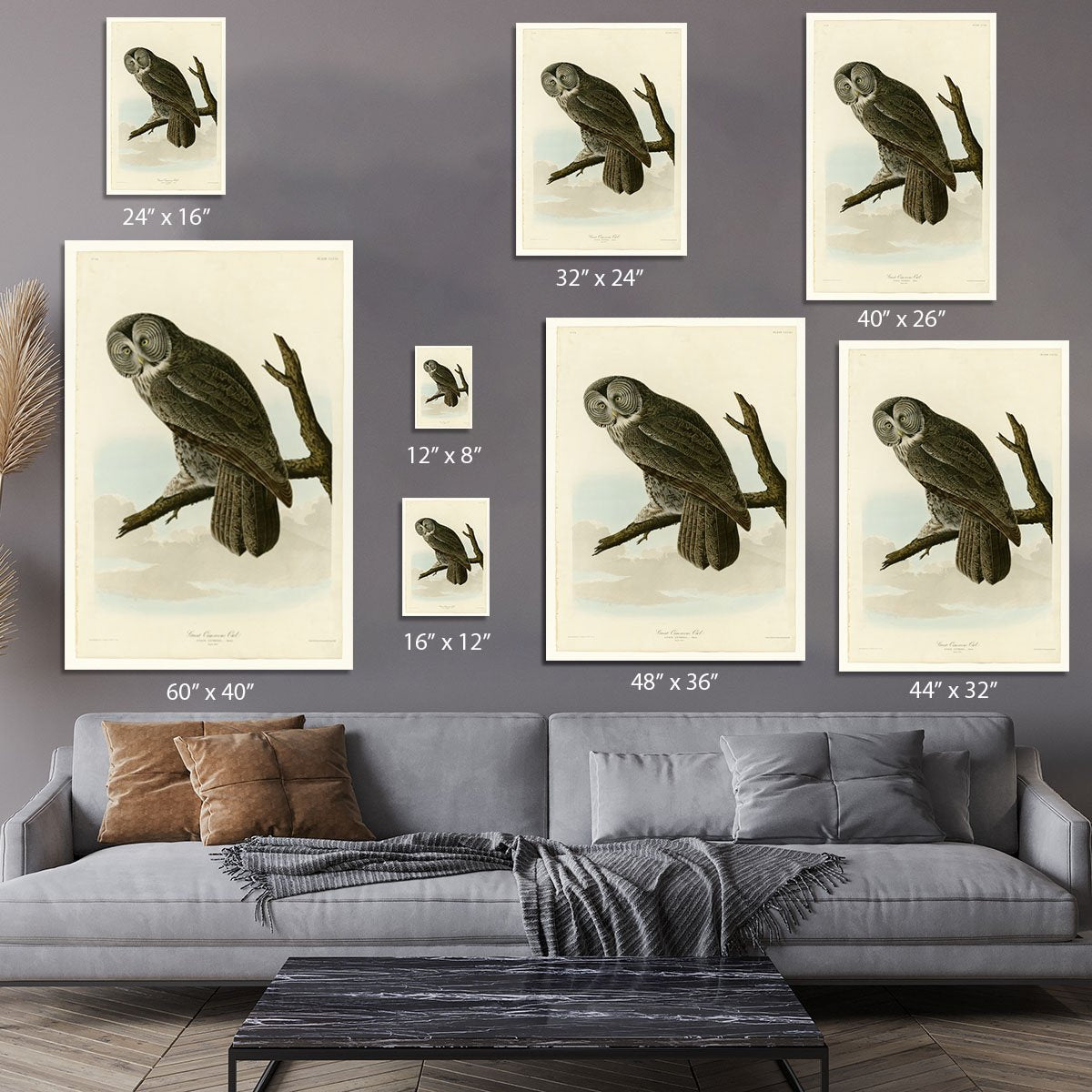 Great Cinereous Owl by Audubon Canvas Print or Poster