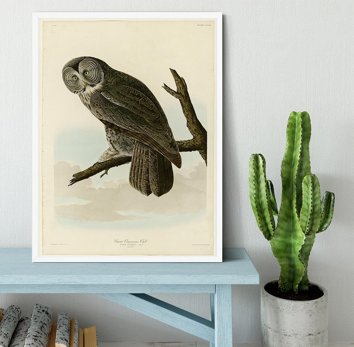 Great Cinereous Owl by Audubon Framed Print - Canvas Art Rocks -6