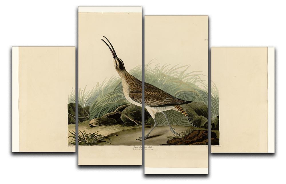 Great Esquimaux Curlew by Audubon 4 Split Panel Canvas - Canvas Art Rocks - 1