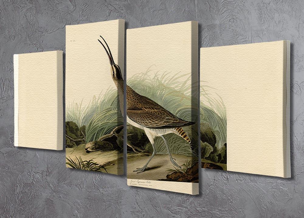 Great Esquimaux Curlew by Audubon 4 Split Panel Canvas - Canvas Art Rocks - 2