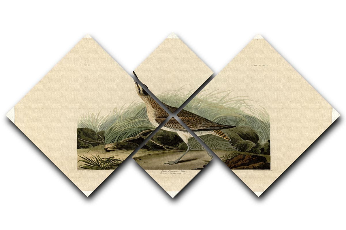 Great Esquimaux Curlew by Audubon 4 Square Multi Panel Canvas - Canvas Art Rocks - 1