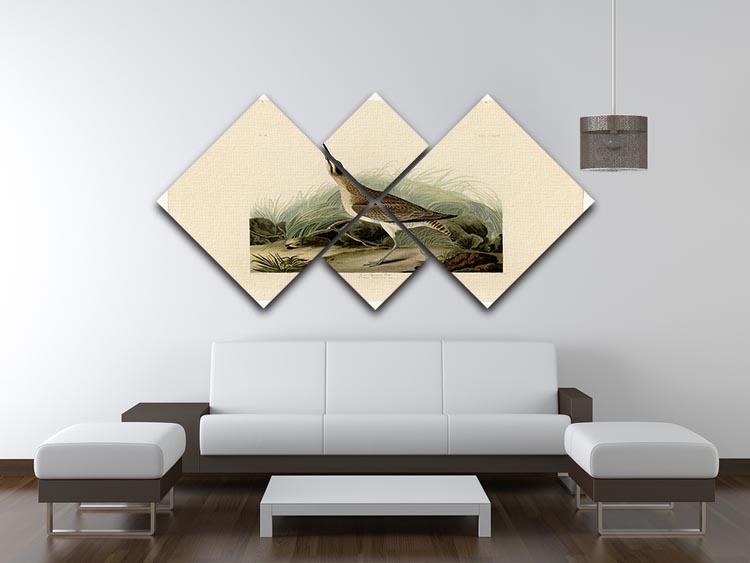 Great Esquimaux Curlew by Audubon 4 Square Multi Panel Canvas - Canvas Art Rocks - 3